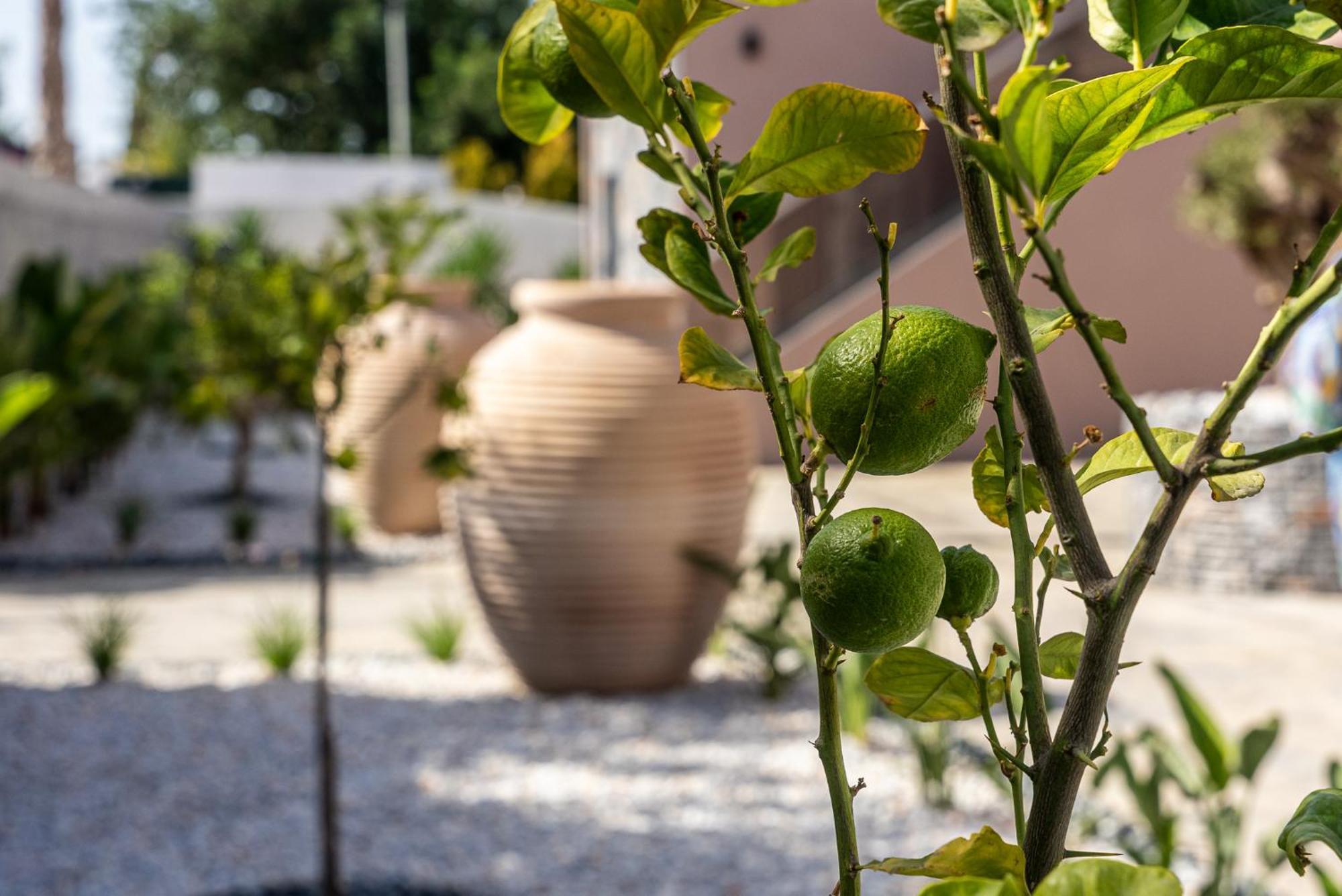 La Reve Luxury Apartments Hersonissos  Exterior photo